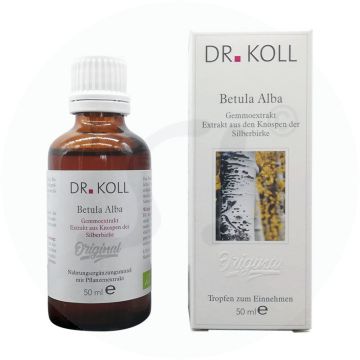 Gemmoextrakt Silberbirke – Betula alba 50 ml