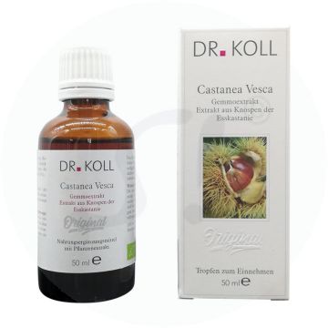 Gemmoextrakt Esskastanie – Castanea Vesca 50 ml