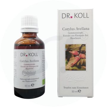 Gemmoextrakt Haselnuss - Coryllus Avellana 50 ml