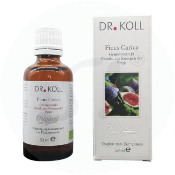 Gemmoextrakt Feigenbaum – Ficus Carica 50 ml