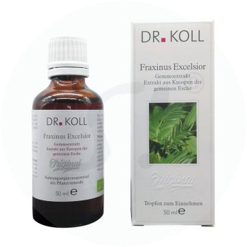 Gemmoextrakt Esche – Fraxinus Excelsior 50 ml