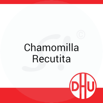 Chamomilla Recutita DHU 8 g D 6 Globuli