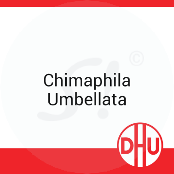 Chimaphila Umbellata DHU D 6 Globuli 8 g D 6 Globuli