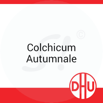 Colchicum Autumnale DHU 8 g D 6 Globuli