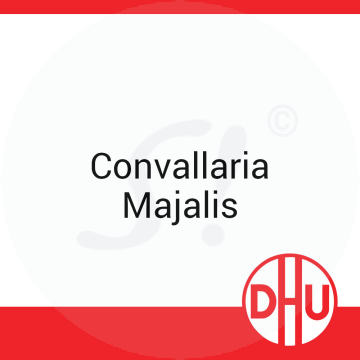 Convallaria Majalis DHU D 6 Globuli 8 g D 6 Globuli