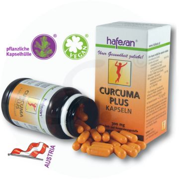 Hafesan Curcuma Plus Kapseln 60 Stk.