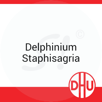 Delphinium Staphisagria DHU 8 g D 10 Globuli