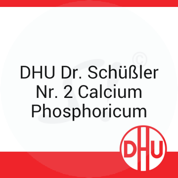 DHU Dr. Schüßler Nr. 2 Calcium Phosphoricum DHU 250 g D 6 Tabletten