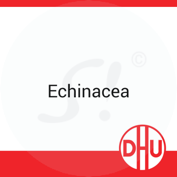 Echinacea DHU 10 ml D 29 Dilution