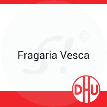 Fragaria Vesca DHU 8 g D 12 Globuli