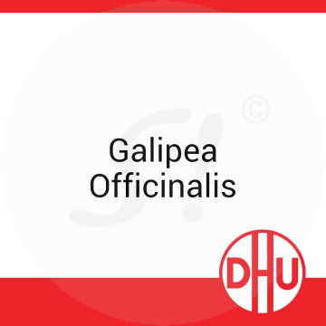 Galipea Officinalis DHU D 30 Globuli 8 g D 30 Globuli