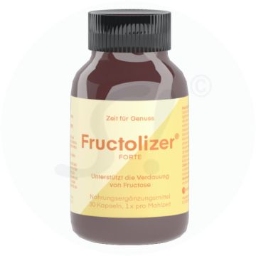 Fructolizer vegan magensaftresistente Kapseln 30 Stk.