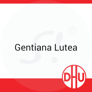 Gentiana Lutea DHU 8 g D 6 Globuli