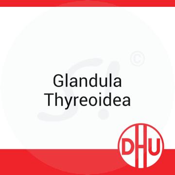 Glandula Thyreoidea DHU 8 g D 12 Globuli