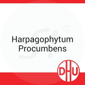 Harpagophytum Procumbens DHU D 12 Globuli 8 g D 12 Globuli