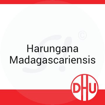 Harungana Madagascariensis DHU 8 g D 6 Globuli
