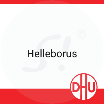 Helleborus DHU 8 g D 30 Globuli