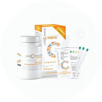 Lipo C Askor Forte Kapseln 120 Stk.