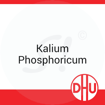 Kalium Phosphoricum DHU 8 g C 6 Globuli