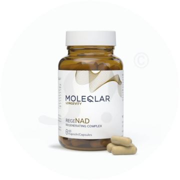 MoleQlar regeNAD Kapseln 60 Stk.