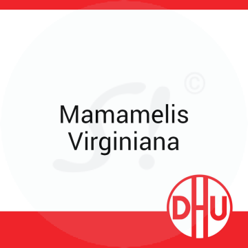 Mamamelis Virginiana DHU 8 g D 4 Globuli