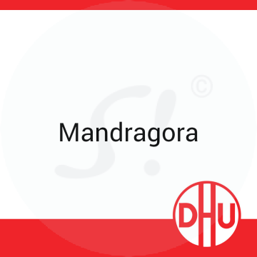 Mandragora DHU 8 g D 6 Globuli
