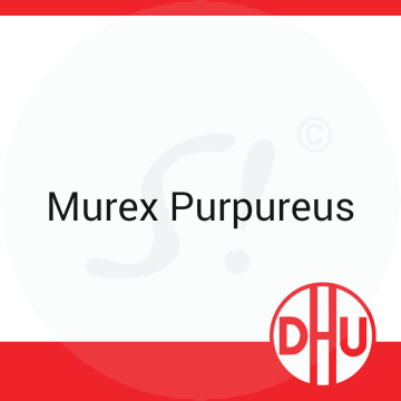 Murex Purpureus DHU D 30 Globuli 8 g D 30 Globuli