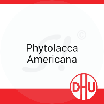 Phytolacca Americana DHU 50 ml D 12 Dilution