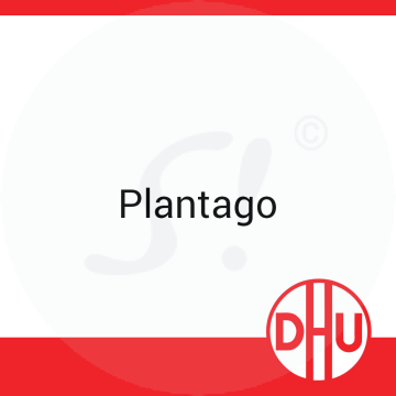 Plantago DHU 8 g D 4 Globuli