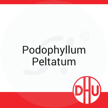 Podophyllum Peltatum DHU 8 g D 6 Globuli