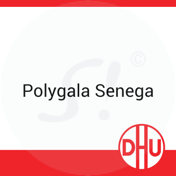 Polygala Senega DHU 8 g D 4 Globuli