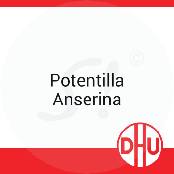 Potentilla Anserina DHU 8 g C 30 Globuli