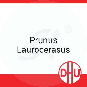 Prunus Laurocerasus DHU 8 g D 4 Globuli