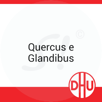 Quercus e Glandibus DHU D 12 Globuli 8 g D 12 Globuli