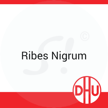 Ribes Nigrum DHU D 12 Globuli 8 g D 12 Globuli