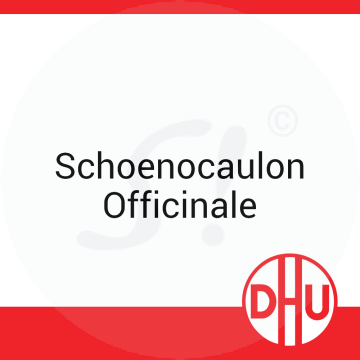 Schoenocaulon Officinale DHU 8 g D 12 Globuli