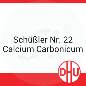 Schüßler Nr. 23 DHU D 6 Tabletten 250 g