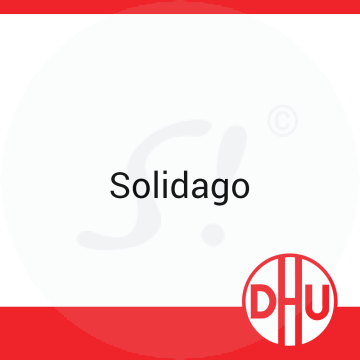 Solidago DHU 50 ml D 6 Dilution