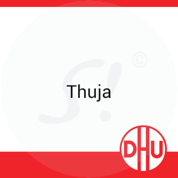 Thuja DHU 8 g C 15 Globuli