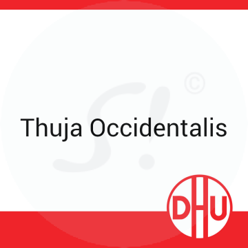 Thuja Occidentalis DHU 10 ml D 30 Dilution