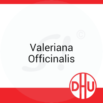 Valeriana Officinalis DHU 8 g D 12 Globuli