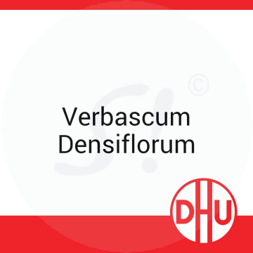 Verbascum Densiflorum DHU 8 g D 12 Globuli
