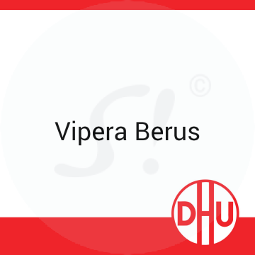 Vipera Berus DHU 8 g D 12 Globuli