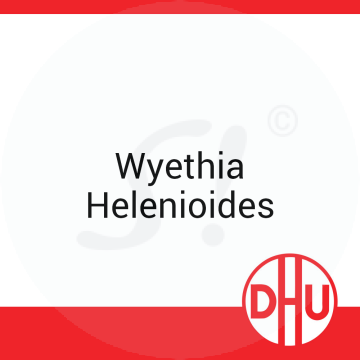 Wyethia Helenioides DHU 8 g D 12