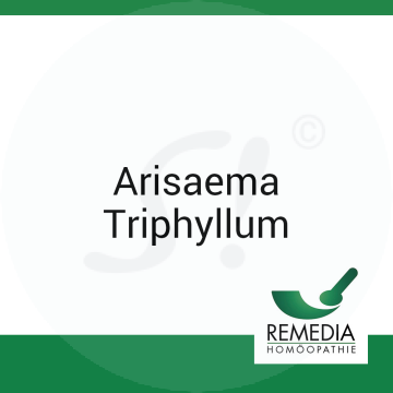 Arisaema Triphyllum Remedia 50 g C 6 Globuli