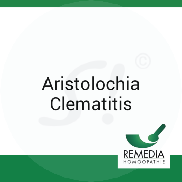 Aristolochia Clematitis Remedia 10 g C 7 Globuli