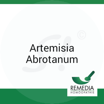 Artemisia Abrotanum Remedia 10 g C 2 Globuli