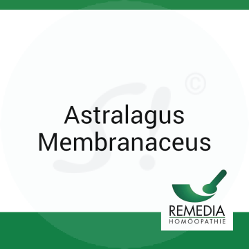 Astragalus Membranaceus Remedia D 12 Globuli 10 g D 12 Globuli