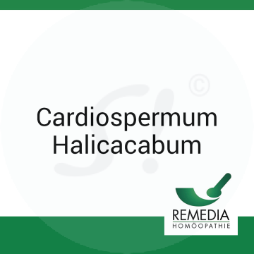 Cardiospermum Halicacabum Remedia D 30 Globuli 10 g D 30 Globuli
