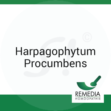 Harpagophytum Procumbens Remedia C 30 Globuli 10 g C 30 Globuli